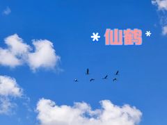 -花湖生态旅游区