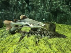 -商丘市人民公园