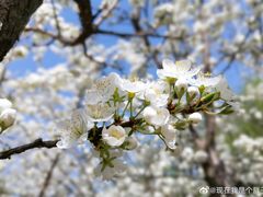 -黛秀湖公园