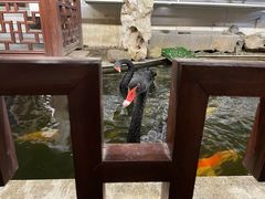 -湖鲜楼