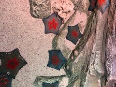 -沈阳海洋探索中心