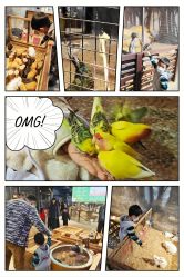 -酷嗒动物文化乐园(cutezoo西溪乐天城店)