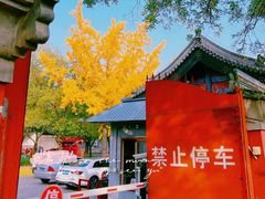 -北京国子监胡同