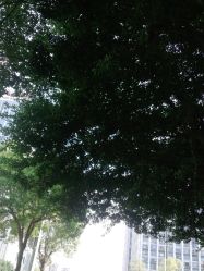 -韩美绣·骨相纹眉·洗眉美瞳线