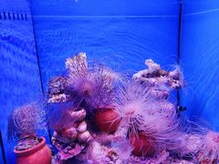 -多彩贵州城极地海洋世界