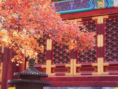 -香山公园