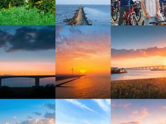 -上海长兴岛郊野公园