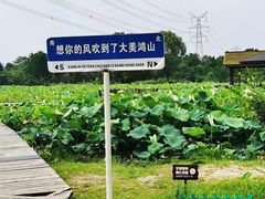 -梁鸿国家湿地公园