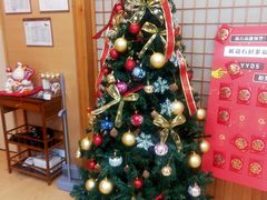 -猫十亿·布偶金渐层·曼基康矮脚猫舍(青年路店)