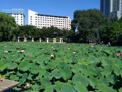 -青城公园