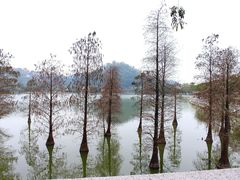 -顺峰山公园