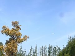 -前小桔亲子创意农场·草莓采摘·露营烧烤