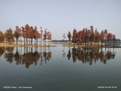 -贡湖湾湿地公园