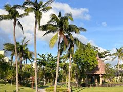 -亚龙湾喜来登·美景台大堂吧