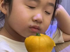 -苏小柳点心·手作小笼包(浦东嘉里城分院)