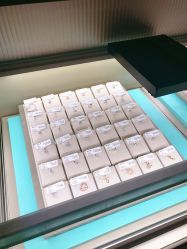 -周大福 CHOW TAI FOOK(新世界百货崇文店)