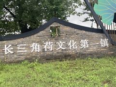 -陶辛水韵