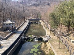 -白水寺森林公园
