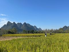 -大师傅金奖啤酒鱼(西街口总店)