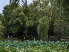 -孝子祠公园