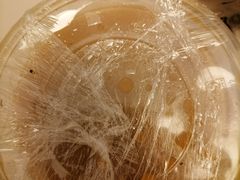 -陈记柳州螺蛳粉(大坪店)