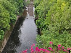 -重庆彩云湖湿地公园