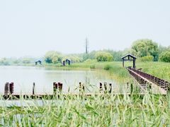 -苏州太湖国家湿地公园