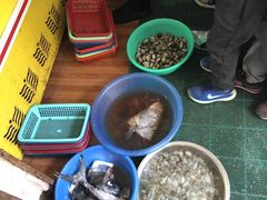 -大树下饭店(春晓镇慈岙社区卫生服务站南)