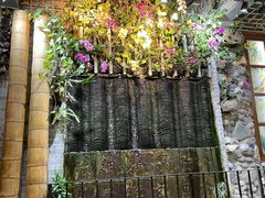 -吴财记面家(大同路店)