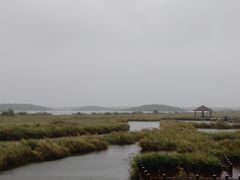 -南大港湿地风景区