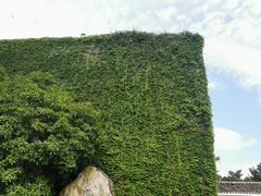 -八大山人梅湖景区