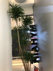 点击看大图 -MY HAIR ARDOR