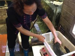 -老凯俚酸汤鱼(鸿通城店)