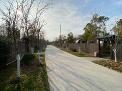 -上海海湾国家森林公园