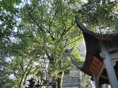 -江心屿景区
