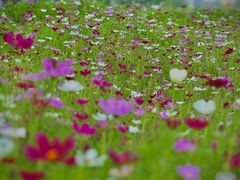 -北沙滩(地铁站)