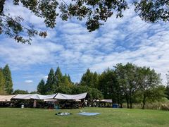 -贡湖湾湿地公园