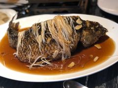 -津菜典藏河西店(水上店)