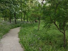 -赵州桥景区