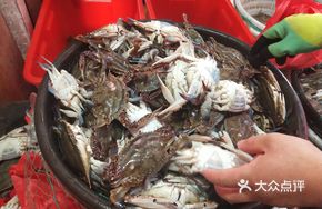 Sea Crab with American Ginseng