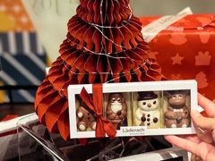 -Laderach 莱德拉(上海环贸iapm店)