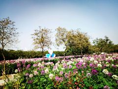 -广东花都香草世界旅游度假区