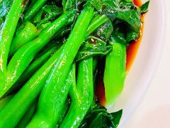 经典白灼菜心-禄興記香港大排档(歌斐中心店)