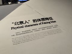-北京周口店北京人遗址博物馆