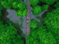 -桤木河湿地公园