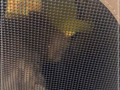 -北京赛佳动物医院