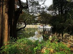 -汇龙潭