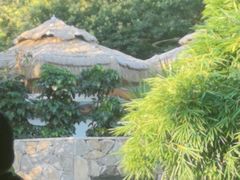 -生态苑农庄(十里画廊遇龙河店)