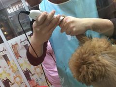 -小呆的宠物店·宠物售卖·宠物寄养(城西店)