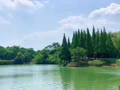 -宜兴龙背山森林公园